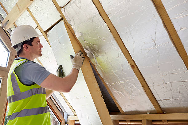 Best Insulation Maintenance and Repair in Durango, CO